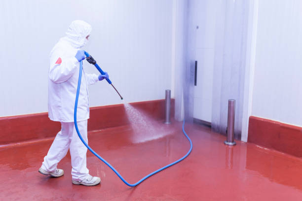 Best Rust Removal  in Ballston Spa, NY